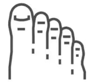 Barefoot shoe width indicator