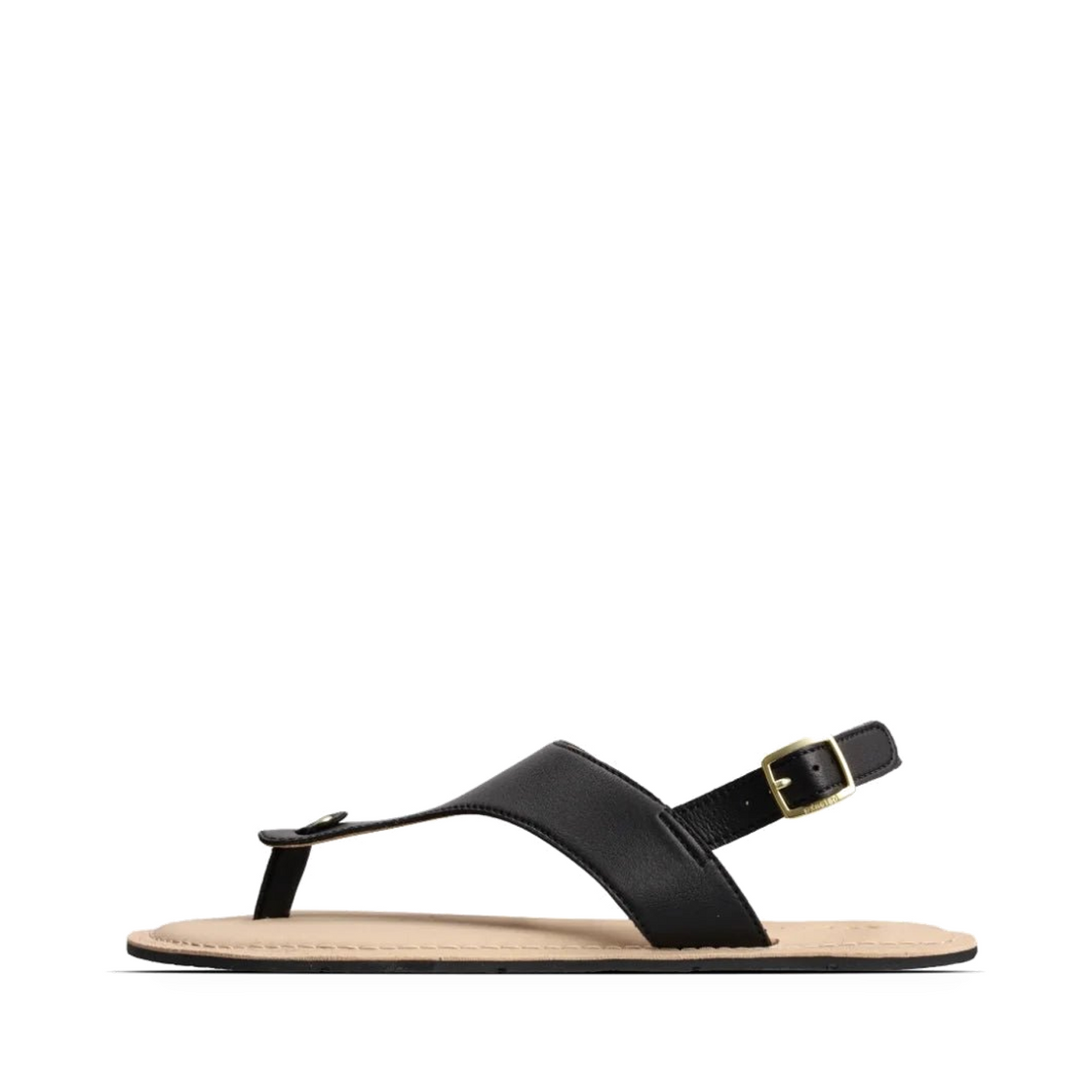 shopify-6f4a3b45f766d4c0afc16453-7f2f6e24ffb04e89